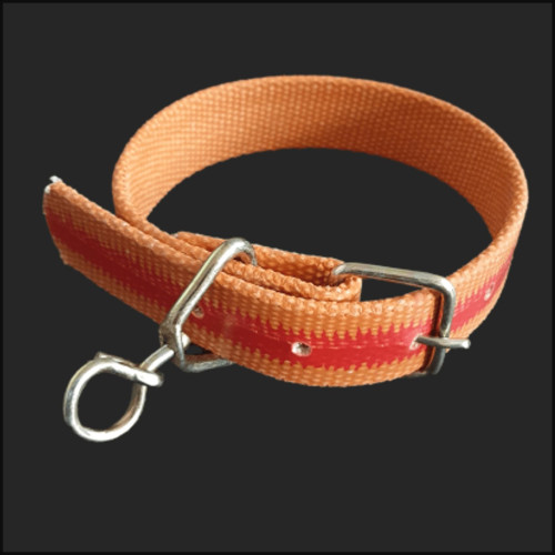대형견 애견 개줄 소 목줄 밸트삼각목줄 목걸이 30mm